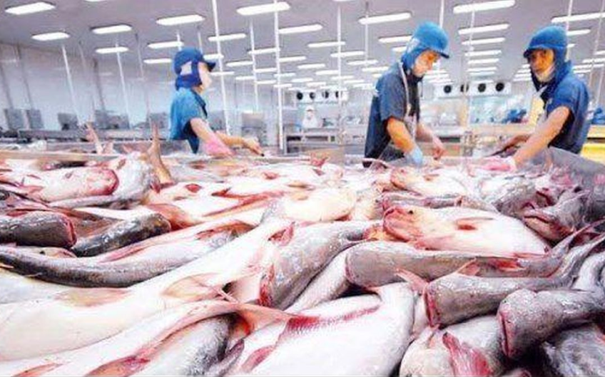 VEFTA mở rộng cơ hội xuất khẩu thủy sản Việt Nam sang thị trường châu Âu